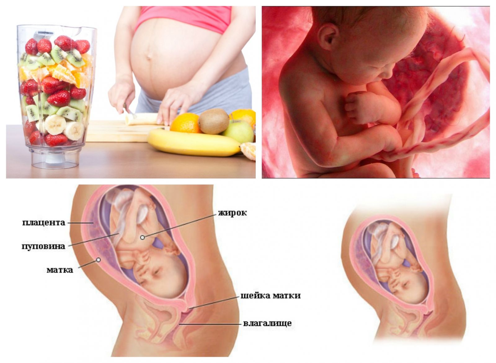 Как выглядит ребенок в 30 недель беременности фото узи thumbnail